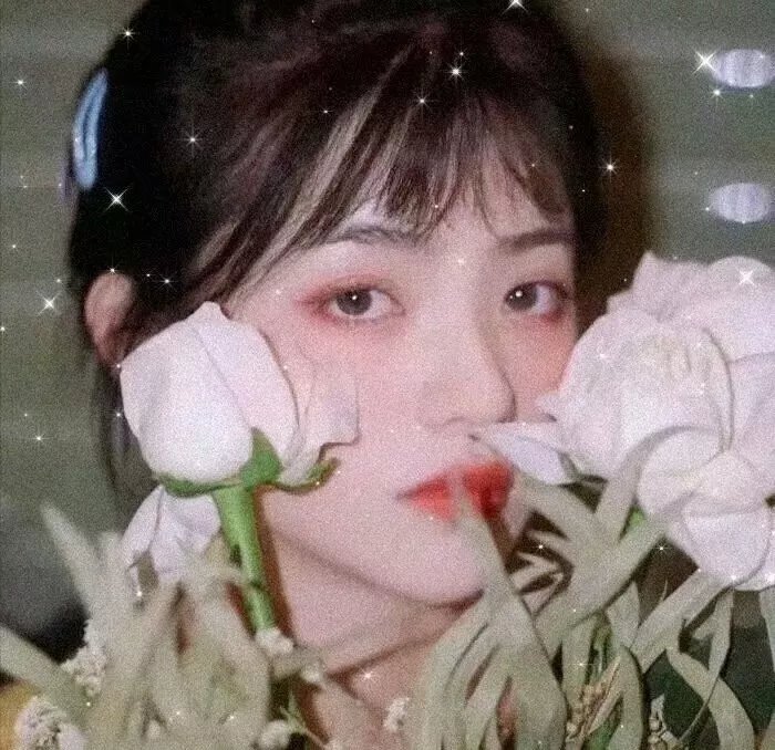 与狼共谋